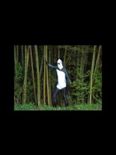 [x]電気グルーヴ 『ピエール瀧の体操42歳』 - YouTube