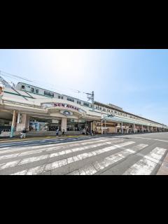 [x]綾瀬はるかさん‼️伴侶は年上？年下？星座は？占うよ🔮#占い #タロット占い #アストロダイス #オラクルカード #綾瀬はるか - YouTube