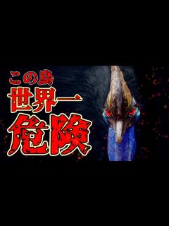 [x]世界一危険で凶暴な「ヒクイドリ」の生態知ってる？【ゆっくり解説