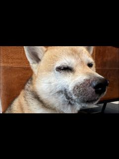 [x]経過報告と新たに発見した病気について - YouTube