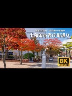 [x]青森県の紅葉名所 - 青森県十和田市 十和田市官庁街通り 日本の道100選 - YouTube