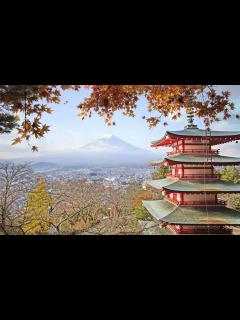 [x]日本テレビ系列 - YouTube