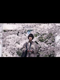 [x]杉咲花が“警察の闇”に立ち向かう 映画『朽ちないサクラ』本予告 - YouTube