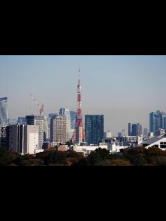 [x]日本高官来华解释高市言论！日本旅游、消费股大跌，中国大陆至日本航班量大幅下滑__新快网