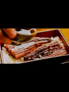 [x]奇跡！幻の「白いウナギ」が養殖場に 「福を呼び込む」と食べずに飼育へ 愛知・豊橋市(2022/10/24) - YouTube