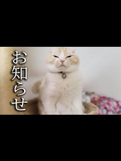 [x]皆様にお知らせがあります... - YouTube
