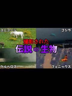 [x]【ゆっくり解説】写真や映像でも捉えられた! 伝説の生物実在説総集編【フェニックス、ユニコーン、ケルベロス、ゴジラ】 - YouTube