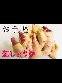 [x]紅しょうが時短漬け簡単作り方。新生姜・市販赤梅酢とジップロックで漬ける。 - YouTube