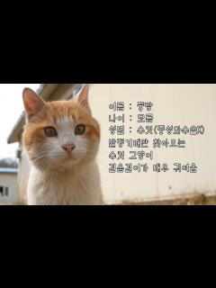 [x]암컷을 찾아 양어장을 어슬렁 거리는 뚱땅이 - YouTube
