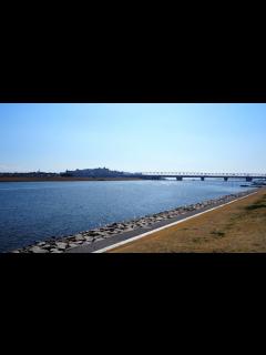 [x]東京の癒やしスポット！穏やかで静かな『旧江戸川右岸河川敷』川の流れと野鳥たちに心が安らぐ！東京都・江戸川区 - YouTube