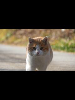 [x]뚱땅이와 아이컨택 하실 분 - YouTube