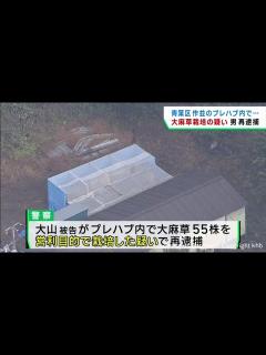 [x]大麻所持で逮捕起訴の男 大麻栽培の疑いで再逮捕 仙台・青葉区 - YouTube