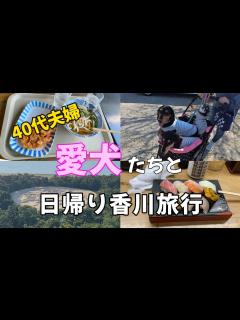[x]【愛犬と日帰り旅行】☆40代夫婦☆立ち食い寿司/犬と食べれるうどん屋/絶品クレープ屋/ - YouTube