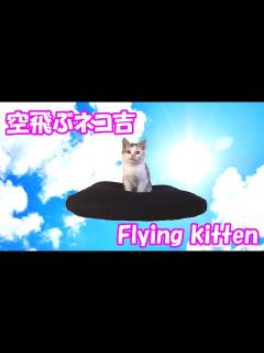 [x]子猫のネコ吉が夢の中で大冒険！～もしも空飛ぶクッションがあったなら‥ Neko-Cat of Kitten adventuring in a ...