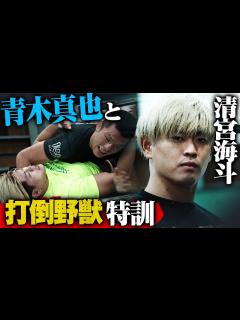 [x]【ノーカット版】格闘家の青木真也さんとスパーリングをしてきました。清宮海斗の「こんなの初めてですよ！」TV - YouTube