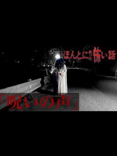 [x]ほんとにあった怖い話 2023特別編「呪いの声」 - YouTube