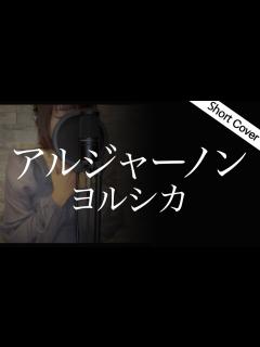 [x]ヨルシカ『アルジャーノン』『夕暮れに、手をつなぐ』主題歌cover by ゆるり【歌詞字幕付き