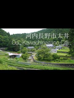 [x]河内長野市 太井から小深 春の風景【田舎散歩】(大阪府)Spring scenery from Ooi to Kobuka ...