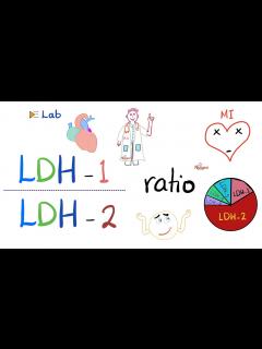 [x]LDH-1 to LDH-2 Ratio (and the flipped LDH) | Lactate Dehydrogenase and ...