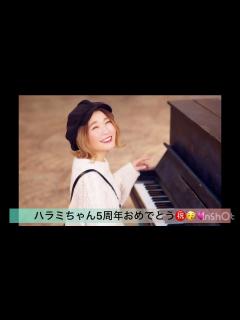 [x]ハラミちゃん活動5周年おめでとう！記念動画㊗️🎉🥰👏#ハラミちゃん - YouTube