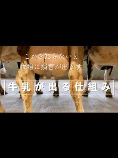 [x]【搾乳の基本①】牛乳が出る仕組み、まずこれを理解して欲しい。牧場経営者からのお願いです。 - YouTube